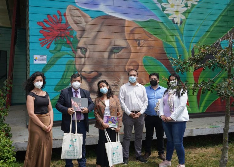 Proyecto Explora Los Ríos entrega mural del Festival de la Ciencia en Lanco