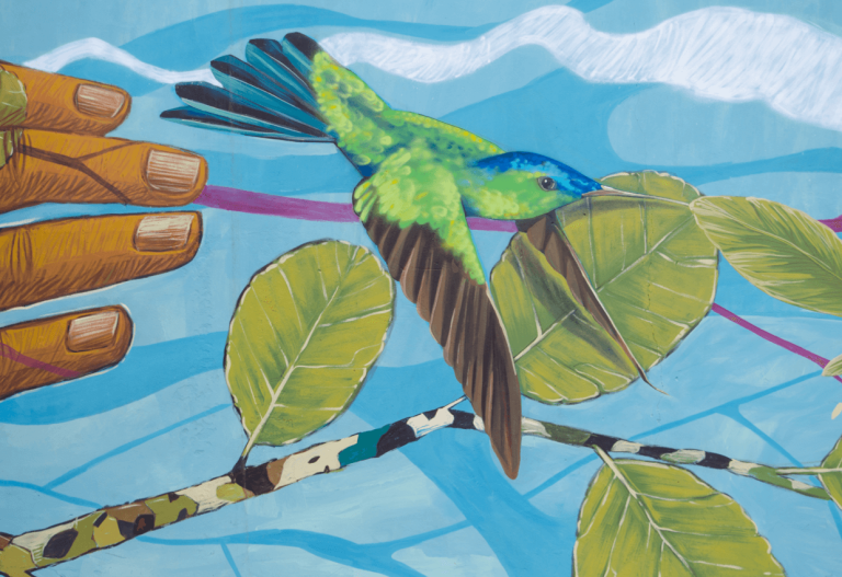 Vuelo de colibrí