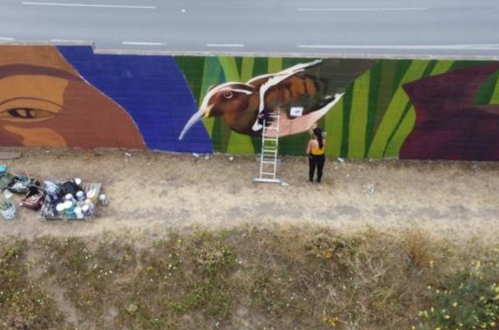Murales: experiencias comunitarias de educación ambiental